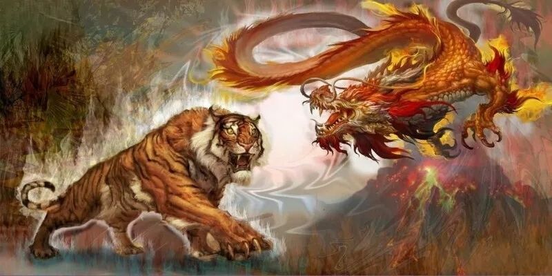 Chơi thua vì chưa hiểu Rồng Hổ là gì cho rõ