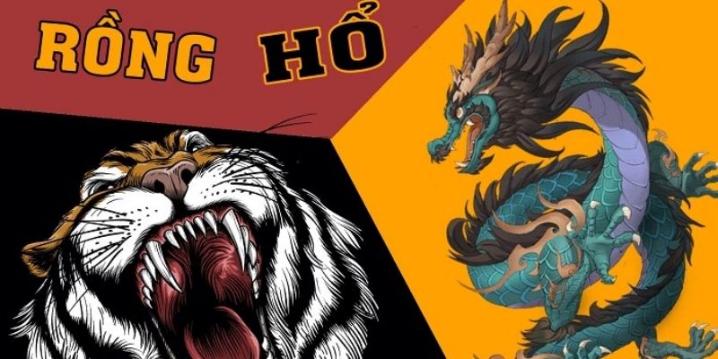 Tìm hiểu Rồng Hổ là gì để làm chủ mọi chiến thuật