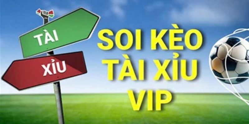 Yếu tố ngoại cảnh ảnh hưởng lớn Soi kèo Tài Xỉu